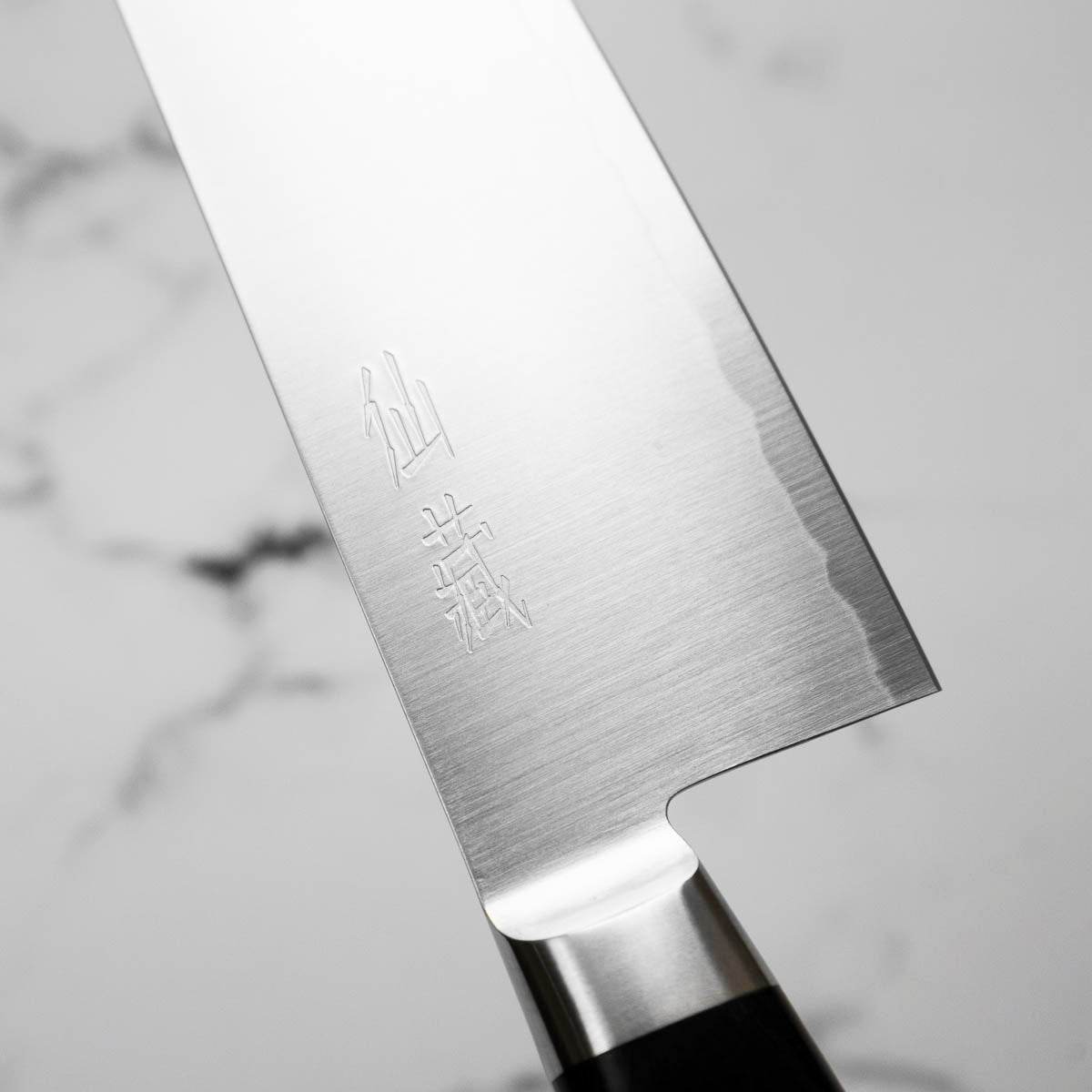 Senzo Professional SG2 Gyuto 210mm